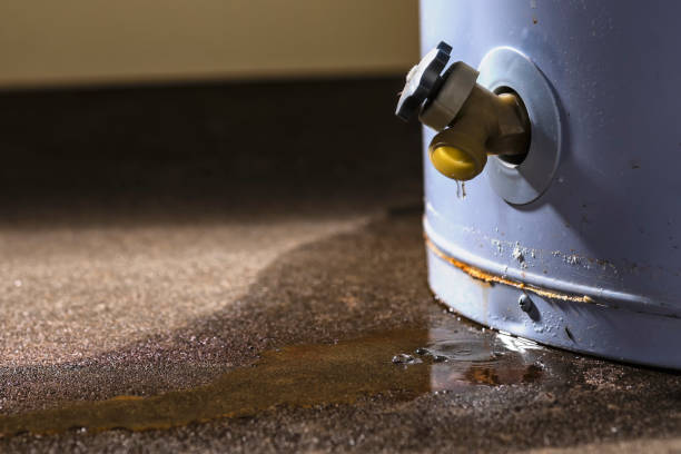 Best Professional water damage repair  in Brackenridge, PA