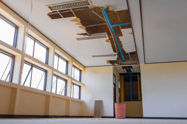 Best Flooded house restoration  in Brackenridge, PA