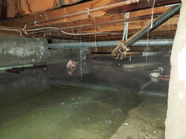 Best Emergency water damage restoration  in Brackenridge, PA