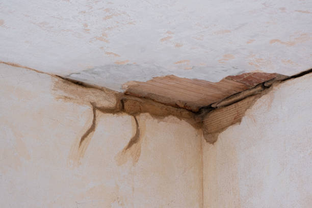 Best Water damage restoration mold remediation  in Brackenridge, PA
