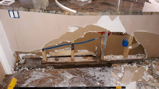Best Water damage contractors near me  in Brackenridge, PA