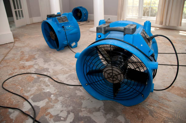  Brackenridge, PA Water damage restoration Pros