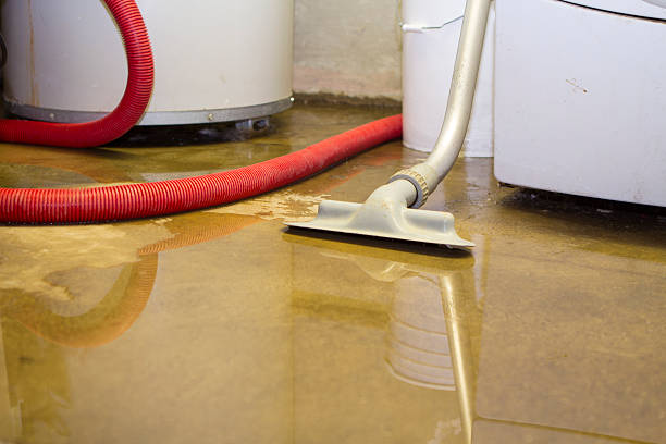 Best Local water damage restoration  in Brackenridge, PA