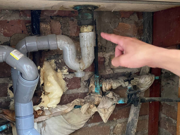 Best Sewage cleanup and water damage restoration  in Brackenridge, PA