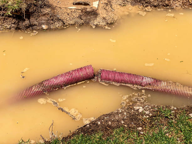 Water damage restoration experts in Brackenridge, PA