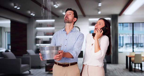 Best Water damage repair service  in Brackenridge, PA